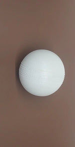 Cricket Ball International Saksham