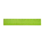 Scale 6 inches (plastic) NIVH