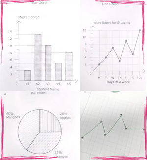 DIY Tactile Graph Kit RLF
