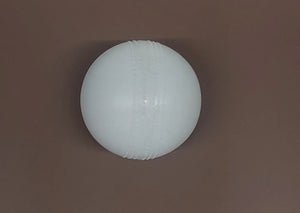 Cricket Ball International Saksham