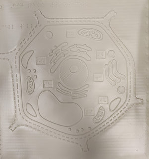Tactile Science Primer ( Volume B)