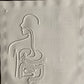 Tactile Science Primer ( Volume A)