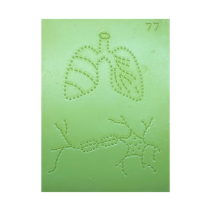 Tactile Diagram Set (NIVH)